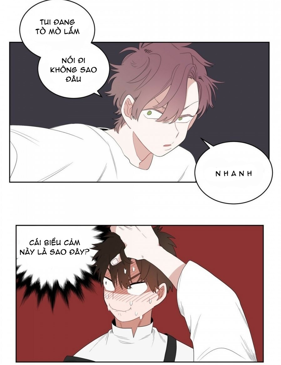 Chapter 4 ảnh 22