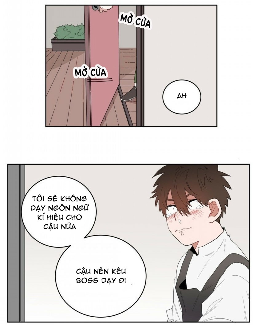 Chapter 4 ảnh 45