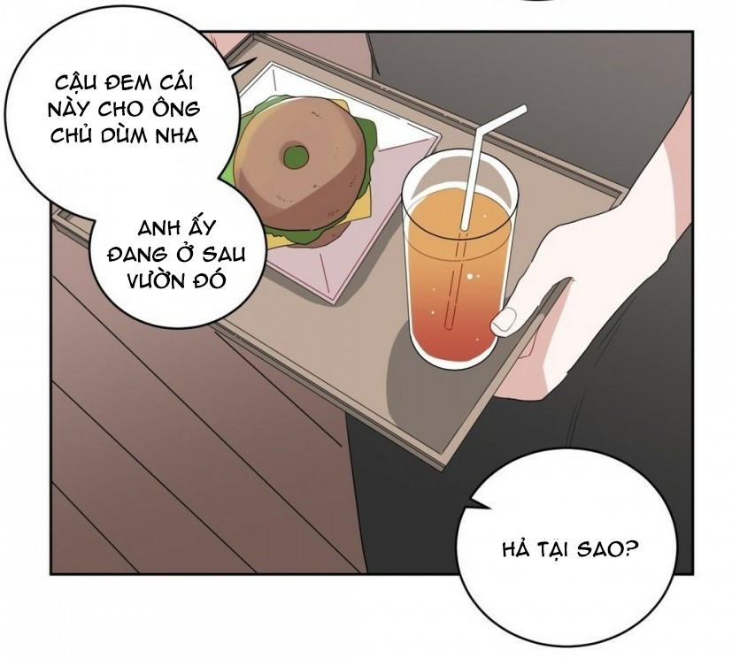 Chapter 5 ảnh 20