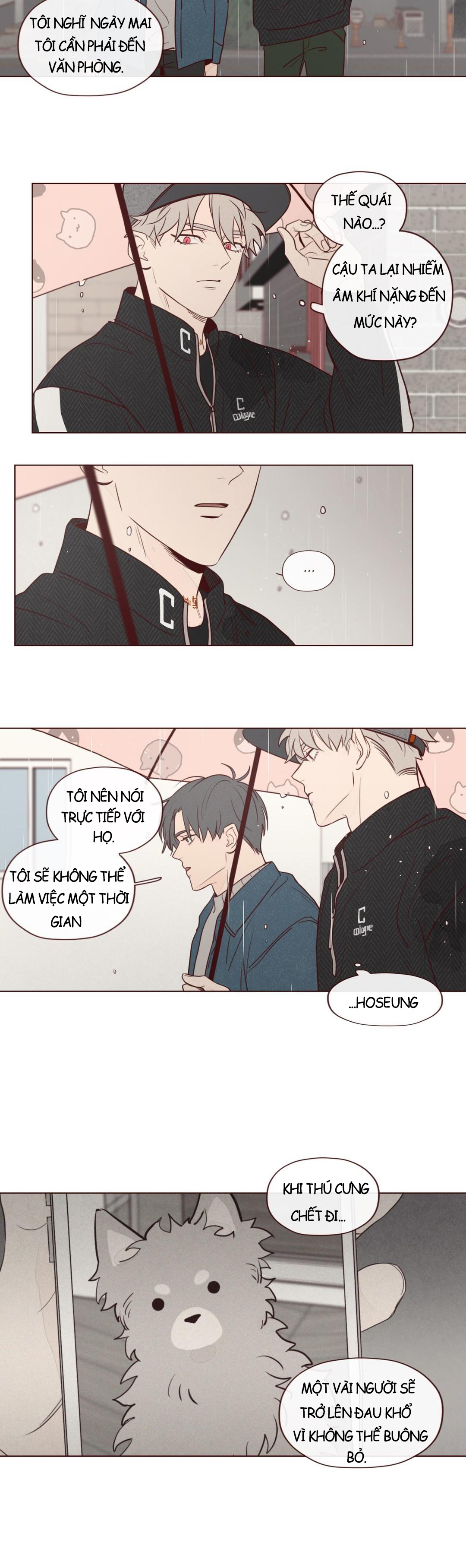 Chapter 11 ảnh 13