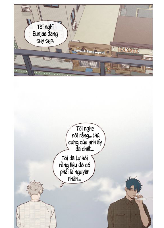 Chapter 16 ảnh 0