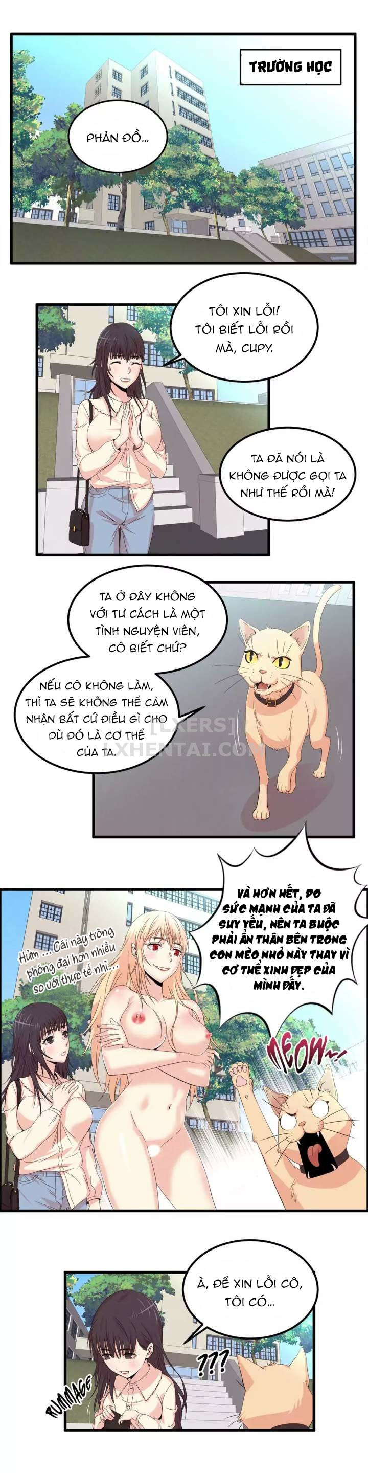 Chapter 13 ảnh 13