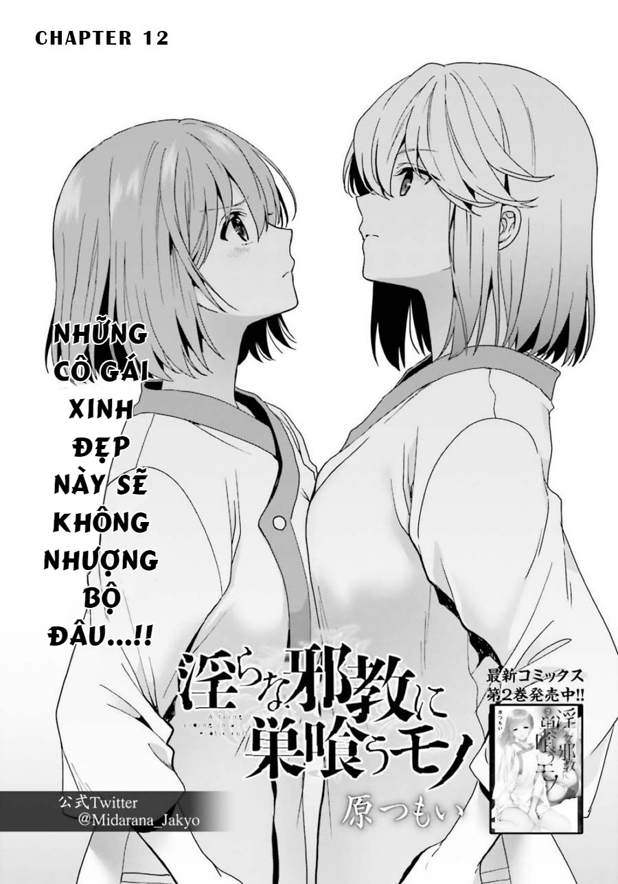 Chapter 12 ảnh 2