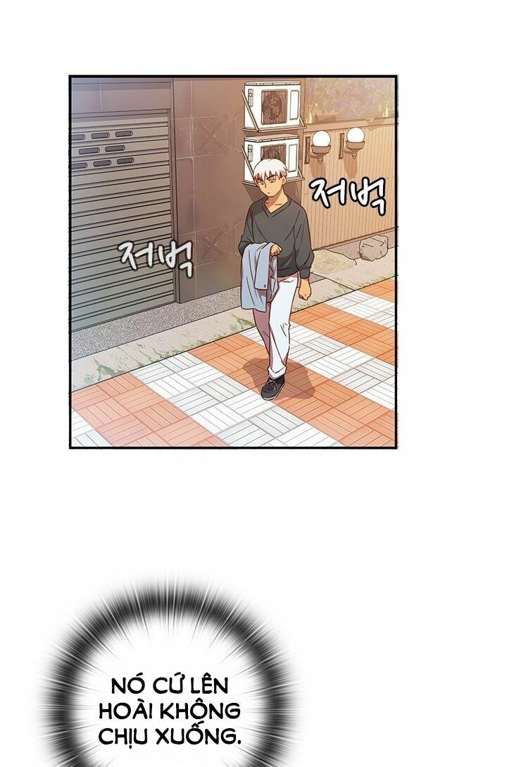 chapter 38 ảnh 48