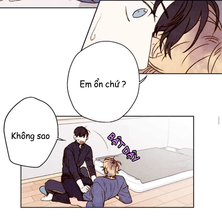 Chapter 8 ảnh 22