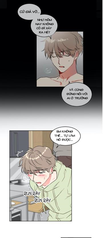 Chapter 11 ảnh 14